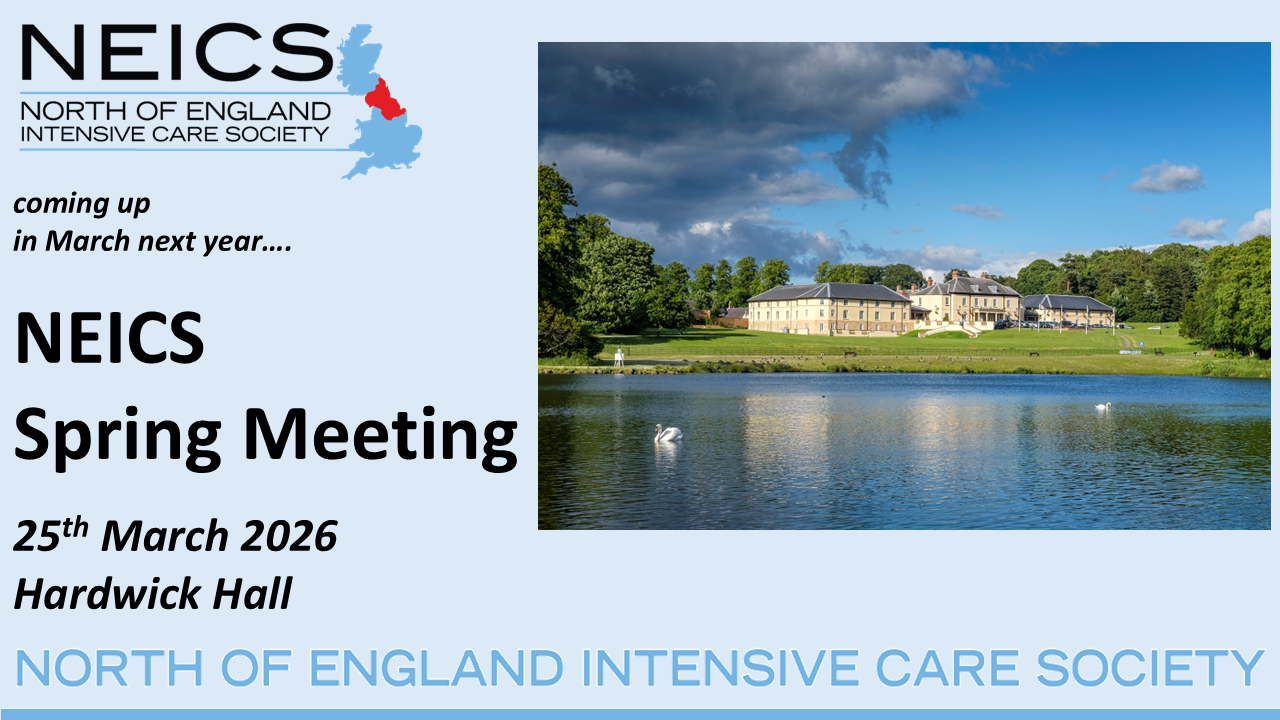 NEICS Spring Meeting 2026 Flyer